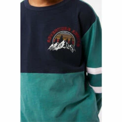 Fat Face FatFace Green Cut And Sew Colourblock T-Shirt -FatFaceshop unnamed file 197