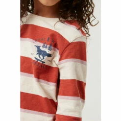 Fat Face Orange Block Stripe T-Shirt -FatFaceshop unnamed file 359