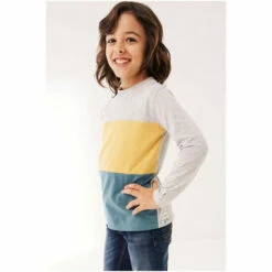 Fat Face FatFace Grey Colour Block T-Shirt -FatFaceshop unnamed file 532