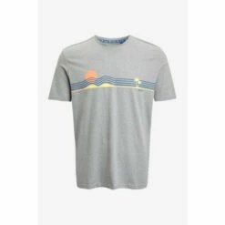 Fat Face FatFace Grey Chest Stripe Graphic T-Shirt